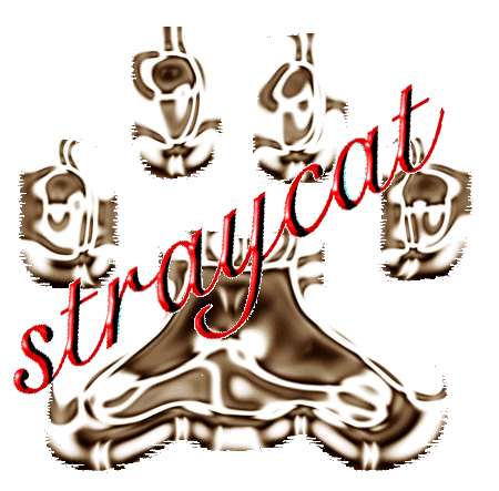 straycat.gif - 60109 Bytes