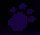 straycat
