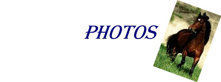 Photos