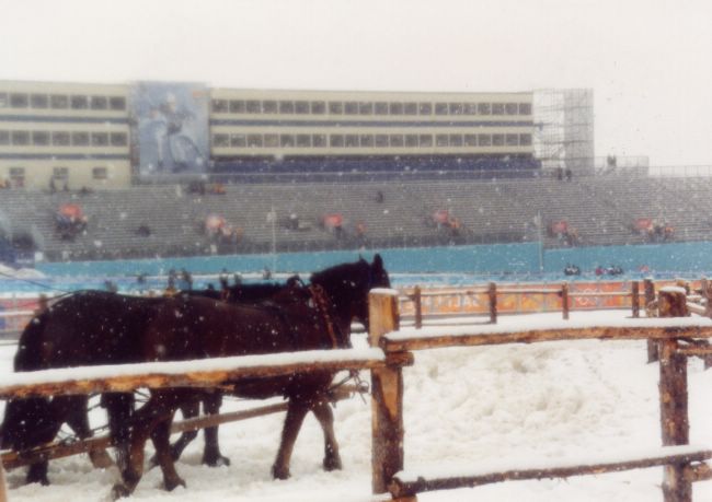 Sleigh Ride at Soldier Hollow