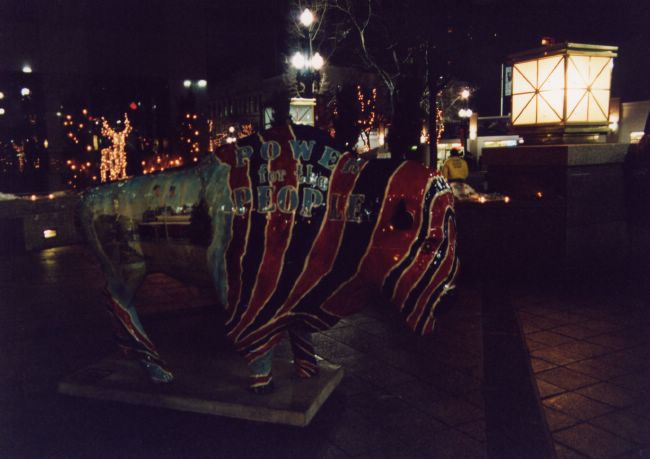 One of the buffalo on the streets of SLC